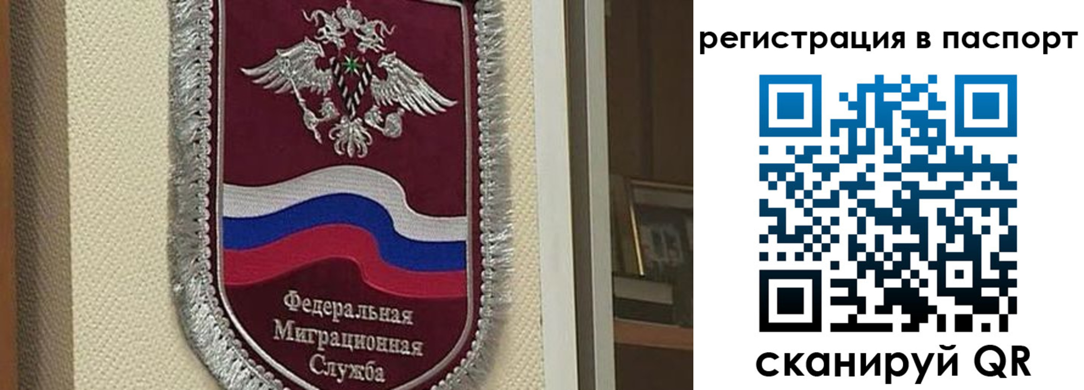 прописка законно в Реутове